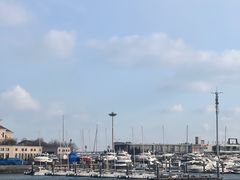 -大连圣亚海洋世界