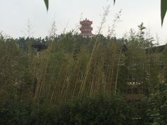 -颐和澜悦欢乐水世界(原颐和温泉城)