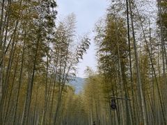 -黄公望隐居地