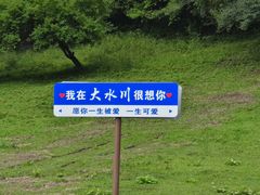 -大水川景区