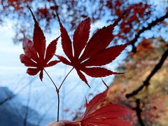 -少华山国家森林公园