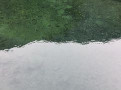 -白云源风景区