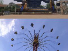 -太阳部落