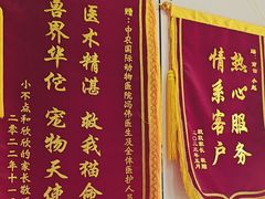 -中农国际动物医院24小时·猫科·骨科·急重症中心