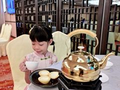 -佛山顺德香云纱园林酒店(清晖园店)