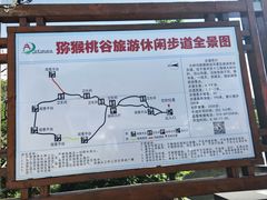 -大岭沟猕猴桃谷风景区
