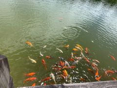 -永泰中国云顶