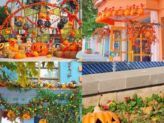 -青岛方特梦幻王国