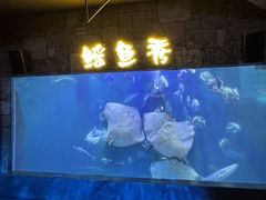 -合肥海洋世界
