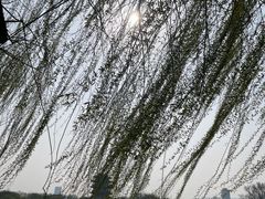 -济南大明湖景区