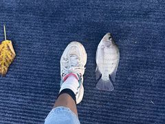 -会江钓鱼钓虾烧烤场