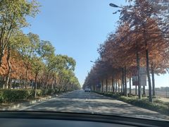 -上海长兴岛郊野公园