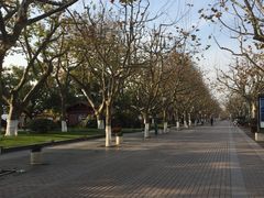 -杭州君悦酒店