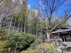 -天龙寺