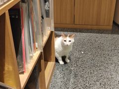 -黑胶星球(华发中城商都店)
