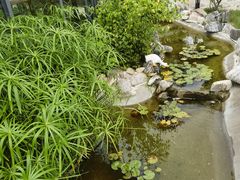 -蘇河湾·新鲁菜·泰山宴(泰山店)