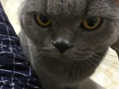 -广州保龄球馆(广州天河体育中心店)