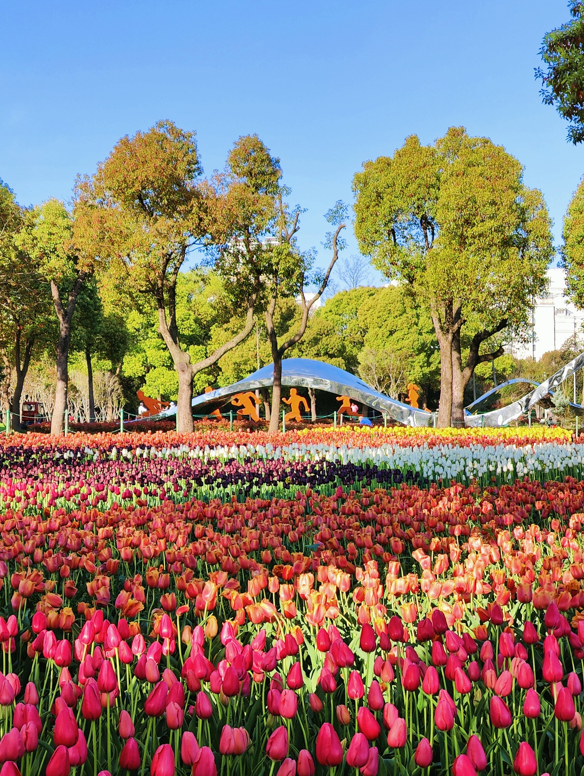 清明节赏花图片图片