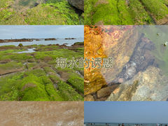 -八大关景区