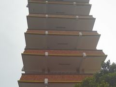 -鹅岭公园瞰胜楼