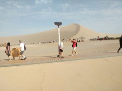 -许记驴肉黄面胡杨焖饼