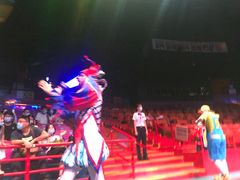 -广州长隆国际大马戏