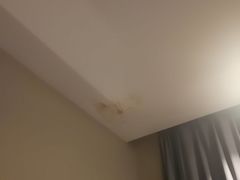 天花板-苏州西交利物浦大学国际会议中心