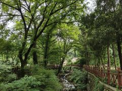 -素山寺森林公园