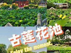 -莲池书院博物馆