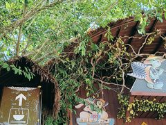 -海南槟榔谷黎苗文化旅游区