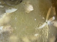 -探窝·竹笙椰子鸡(杨箕店)