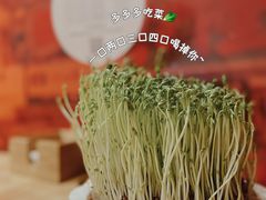 -好彩猪肚鸡(正弘城店)