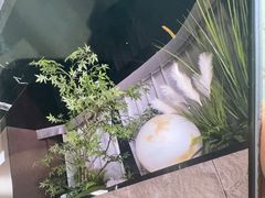 -亦辰亦美·泡澡 SPA 足浴 按摩公馆(牛王庙店)