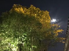 -老城根(莲湖路店)