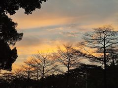 -广东工业大学(大学城校区)