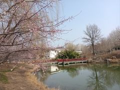 -河北省园博园