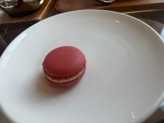 -The Lounge大堂酒廊·咖啡·沙拉·下午茶(金茂深圳JW万豪酒店)