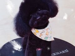 -喵汪宠物生活馆(涞坊路店)