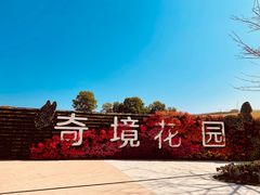 -光明小镇欢乐田园
