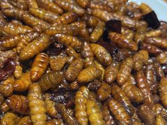 -金塔傣乡·云南民族特色菜·傣味手抓饭(金瓦路店)