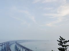 -星海湾跨海大桥