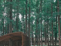 -上海浦江郊野公园-3号停车场