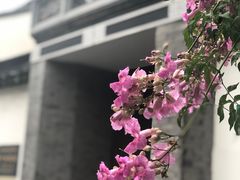 -三林本帮馆(中林街店)
