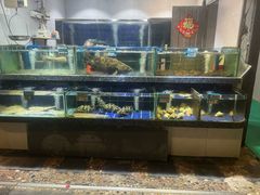 -随园花园餐厅(新港中路店)