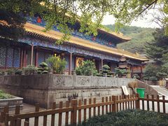 -普陀山风景名胜区-法雨禅寺