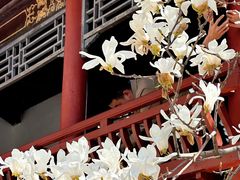 -碑林公园
