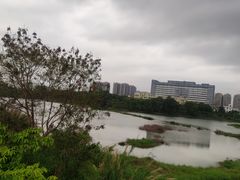 -立新湖公园