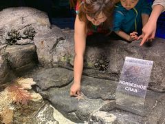 -迪拜水族馆及水下动物园