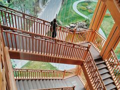-缙云山景区