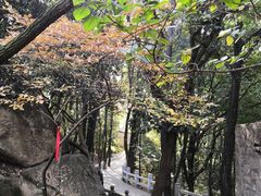 -灵岩山风景区